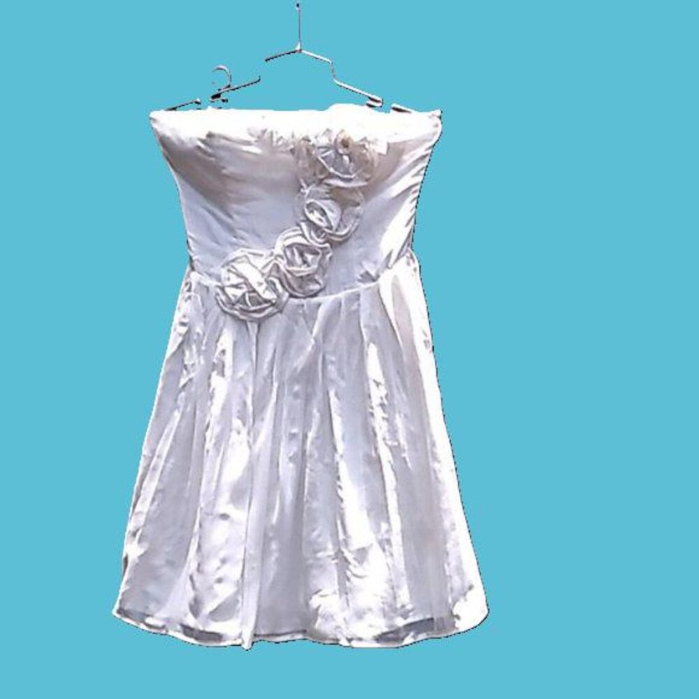 large,NWT | Katia -Flower's On Chest , White Mini Dress